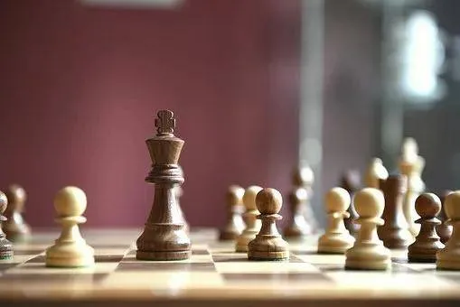 怎么做才能提升你的国际象棋水平？(4)