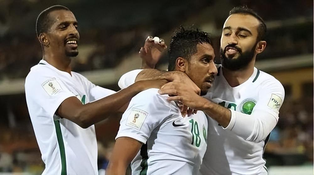 沙特队-世界杯上的“惨案制造机”，其实非洲也有这样一支球队(1)