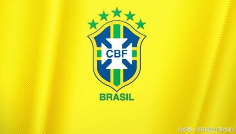 巴西甲级联赛俱乐部恩怨 巴西足球甲级联赛的前世今生(5)