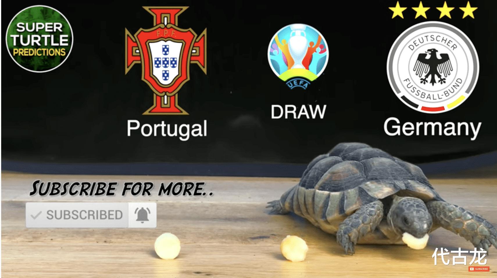 小组出线生死之战！超级海龟预测欧洲杯：德国队击败葡萄牙(3)