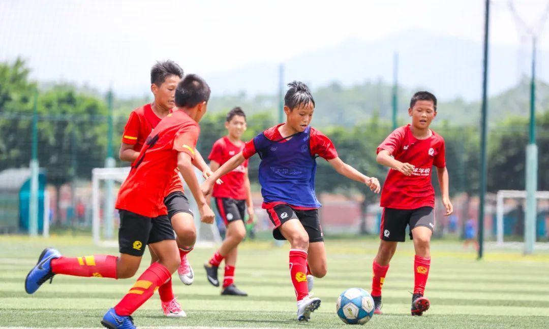恒大足校的第11年，累计花费超28亿，它为中国足球贡献了什么？(8)